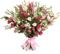 Эустома микс №2 Эустома микс №2